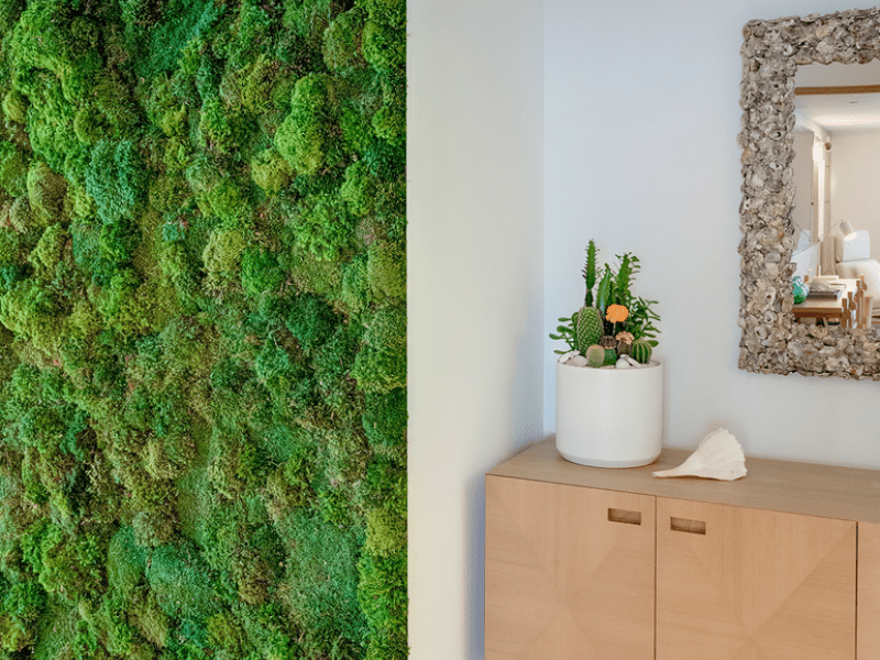 Moss wall beside a cupboard