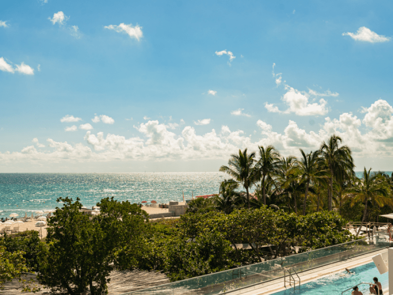 A family entering a pool next to a line of trees