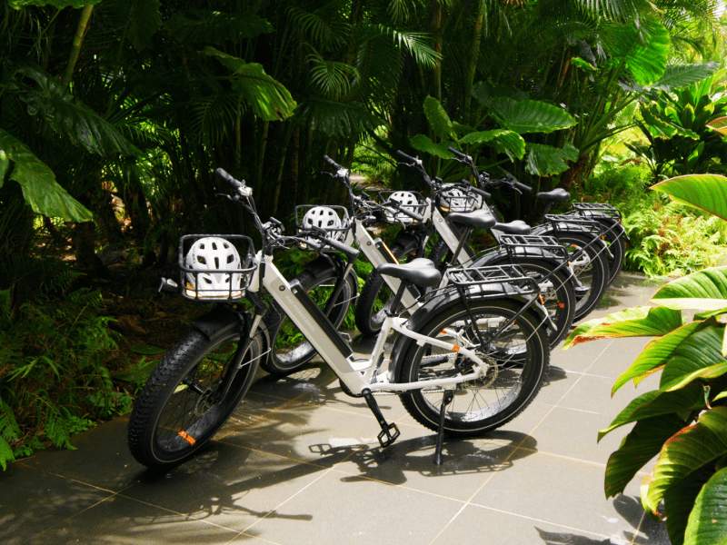 bike