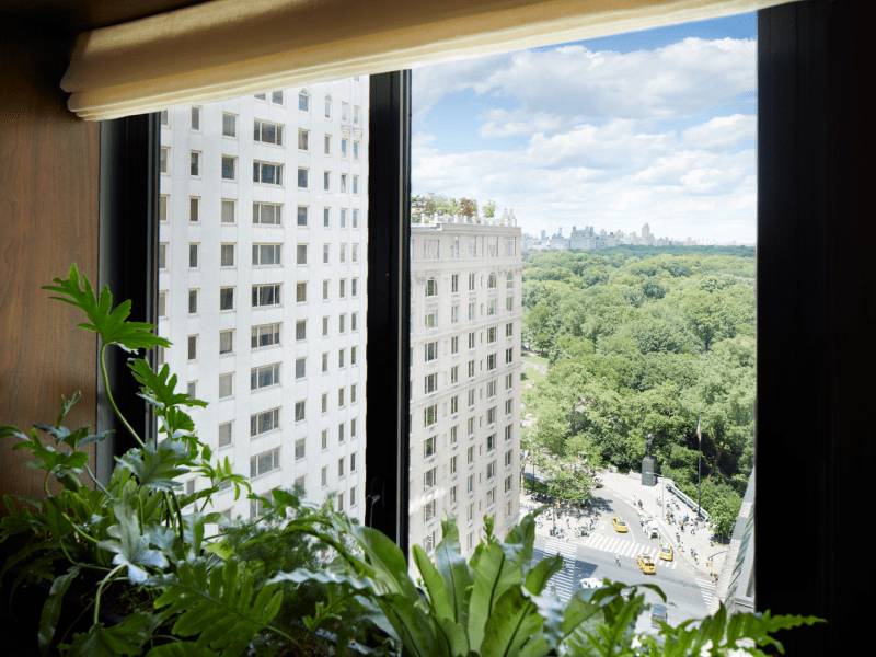 View of central park and skyline 