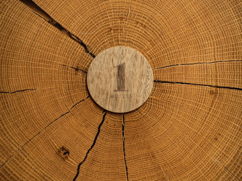 A tree stump with a wooden 1 Hotel logo