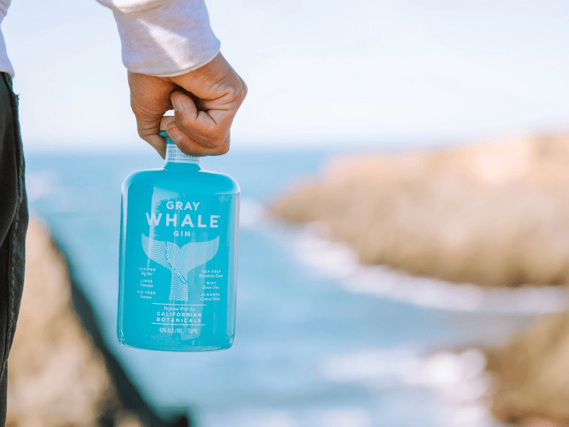 gray whale gin
