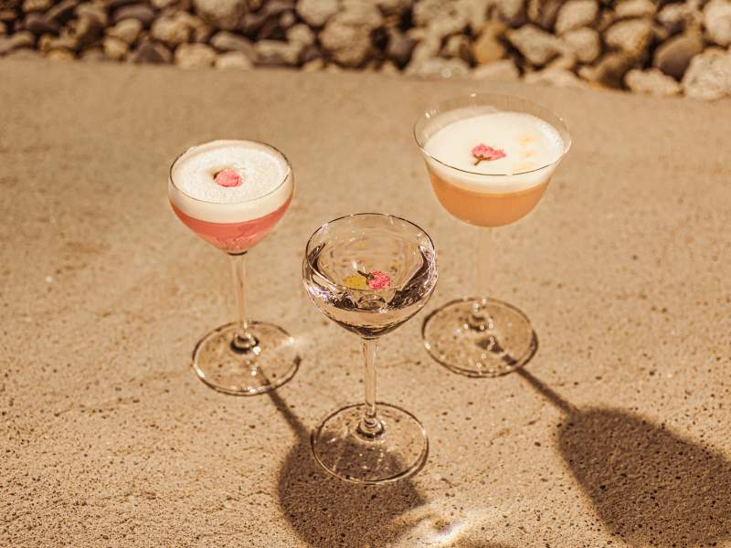 Sakura cocktails