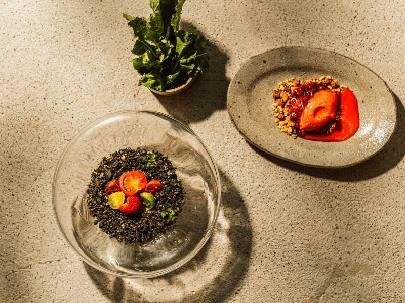 Menu du Mois de la Terre