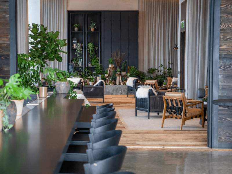 row of seats along bar with more seating in background