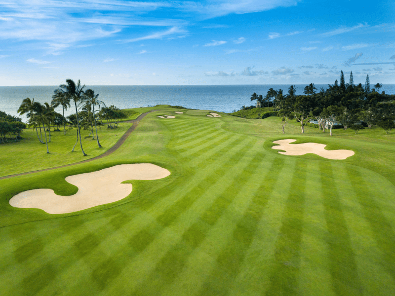 A golf green with sand pits