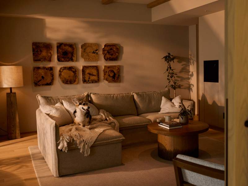 Pet Stay