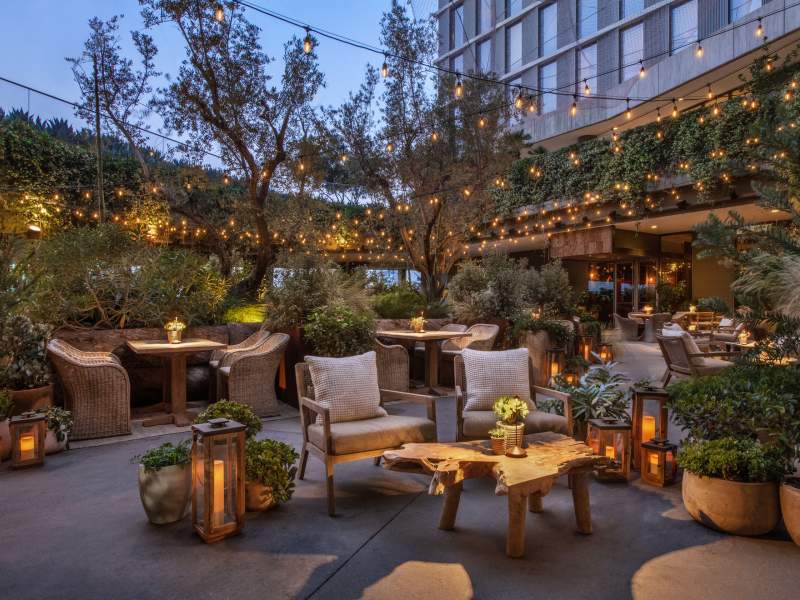 Juniper garden evening