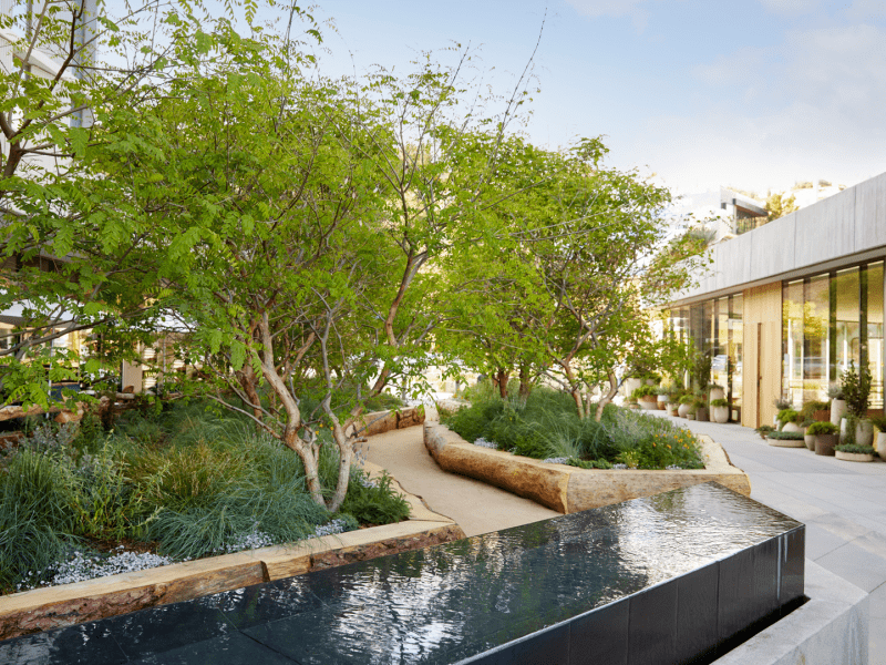 Outdoor walkway with trees and live edge benches