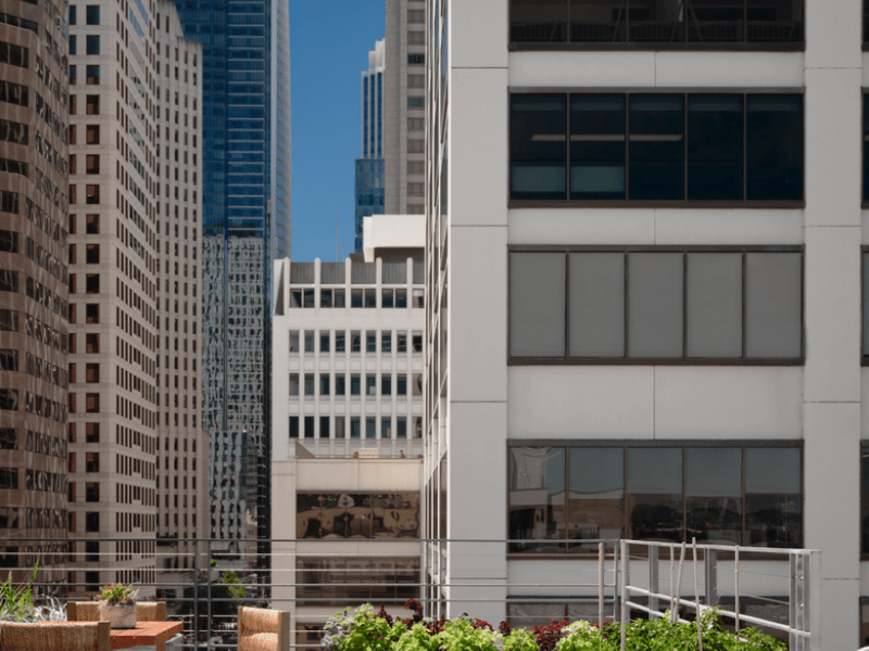 outdoor terrace area with plants