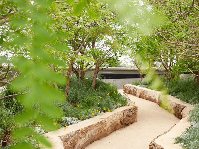 A stone path snakes its way through an outdoor garden