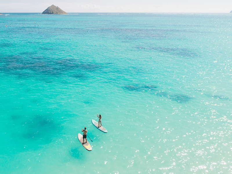 Two people using stand up paddleboards on the ocean