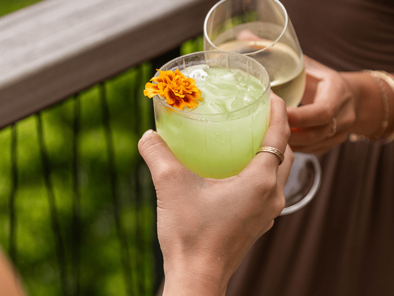 Women Clinking Their Glassware