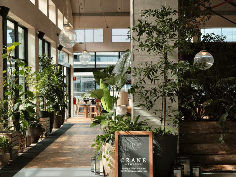 Ingang van Crane Bar