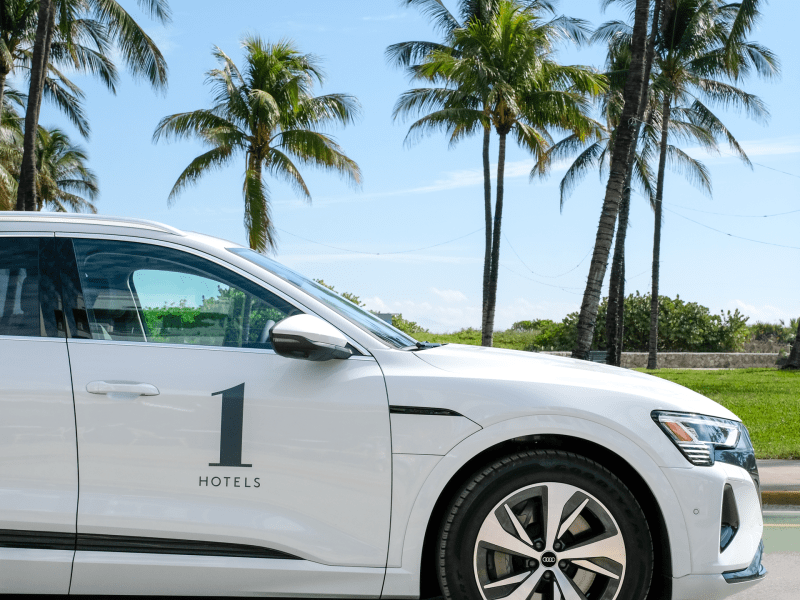 Audi car with palm trees 