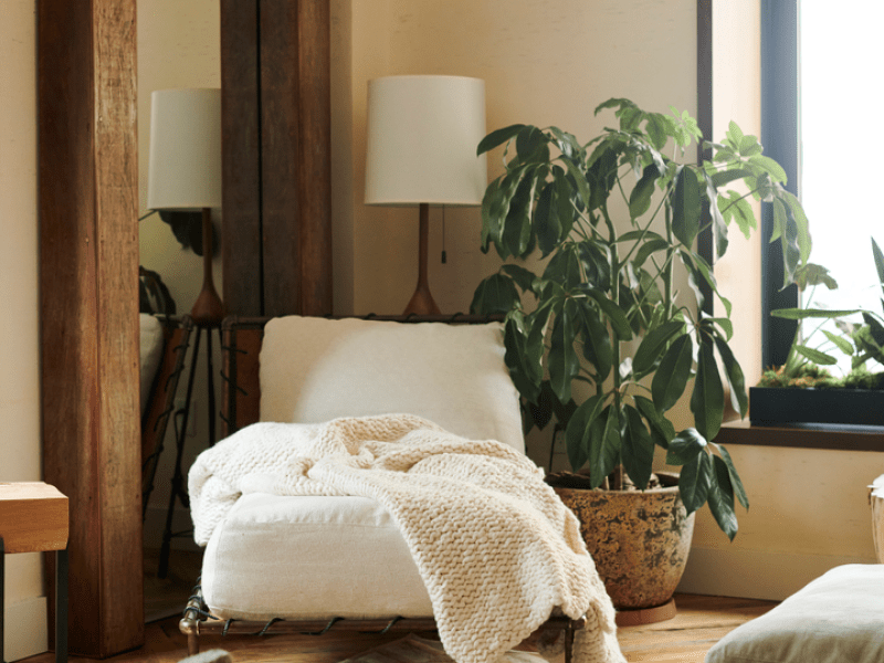 Greenhouse suite interior