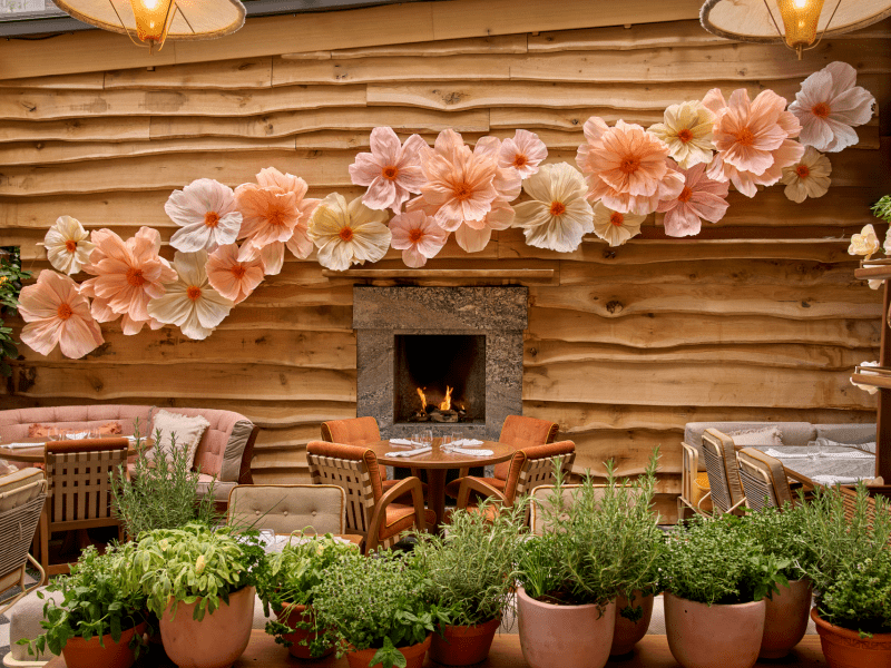 Le Jardin Minuty