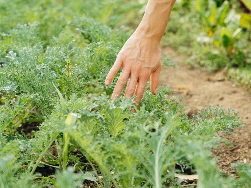 Femme s'occupant de son jardin 