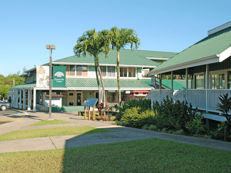 Out front of Princeville shopping center