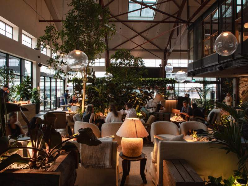 크레인 바 및 라운지