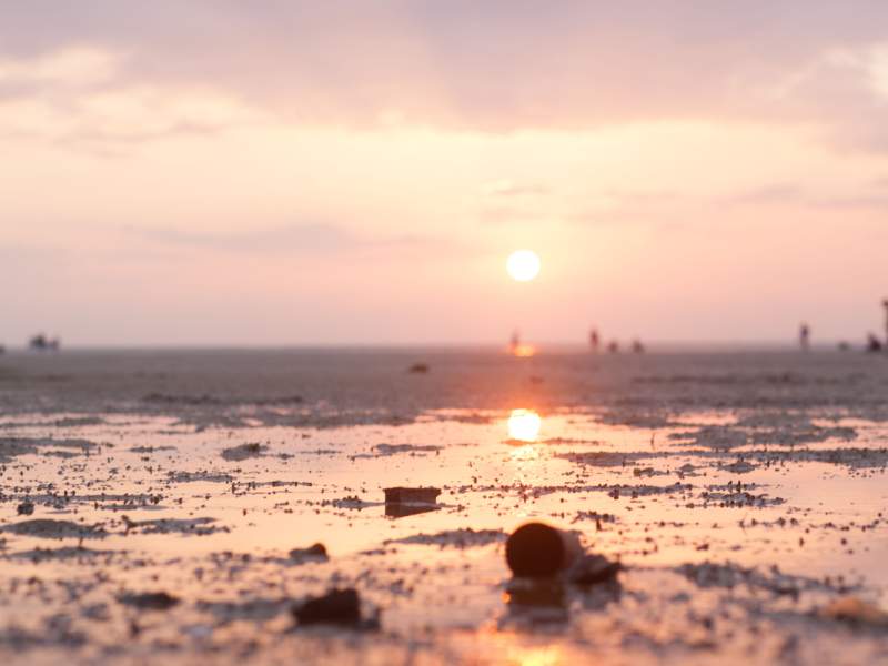 a beach at sunset