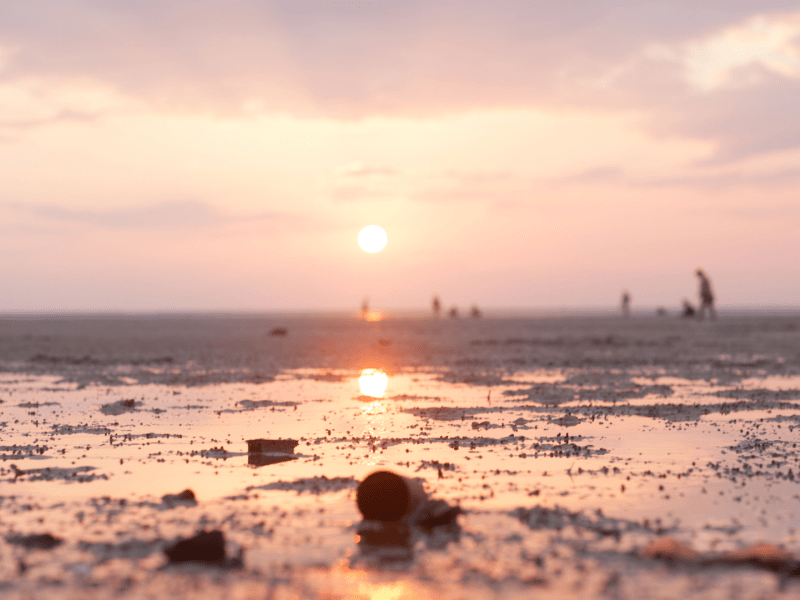 a beach at sunset