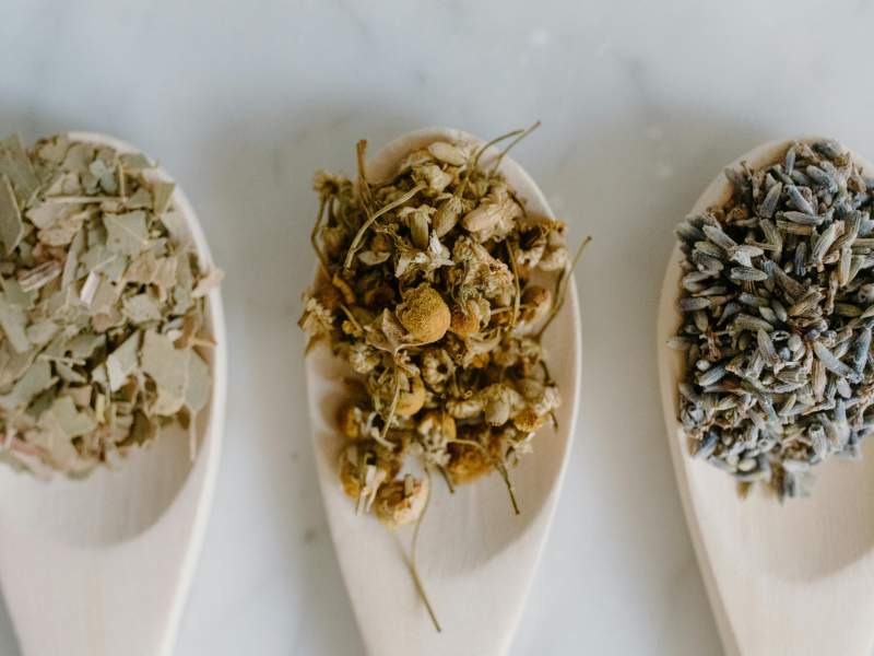 various herbs in spoons