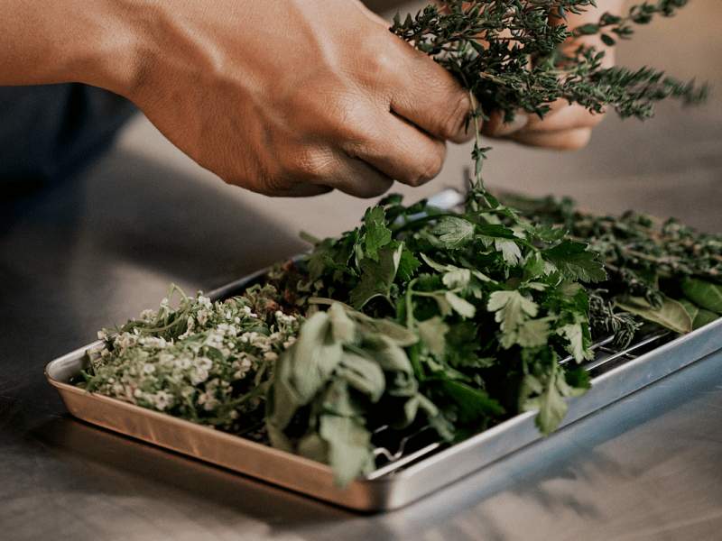 El chef preparando verduras y hierbas