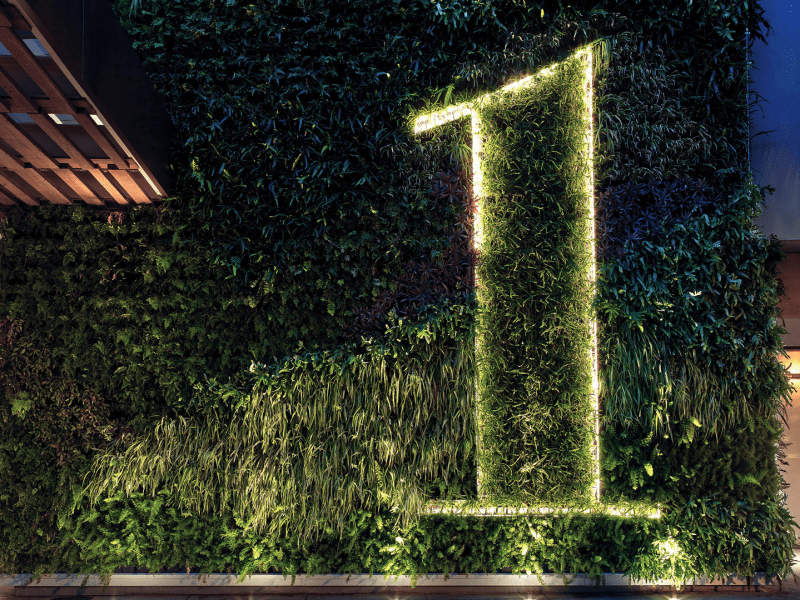 The number 1 lit up on a wall of plants