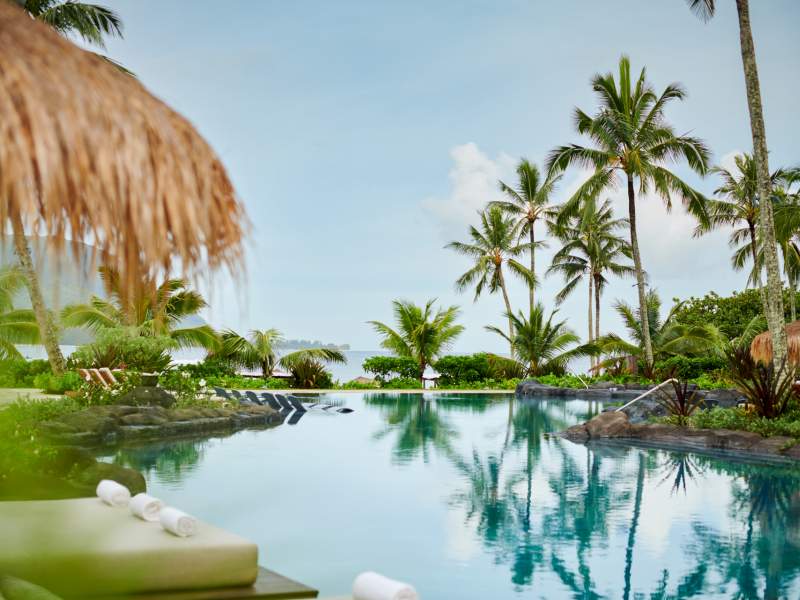 Swimming pool surrounded by palm trees