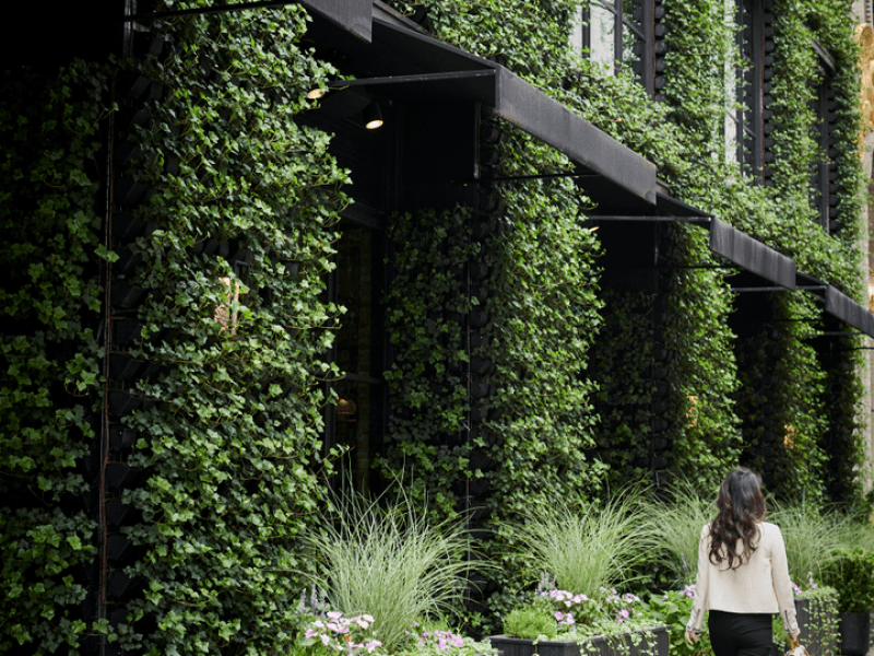 exterior vertical garden