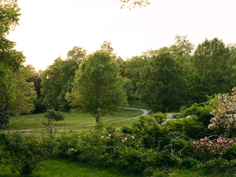 green door gourmet farm