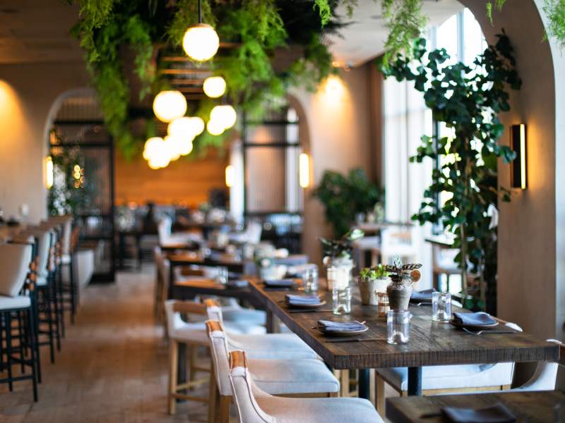 エレガントに配置されたいくつかのテーブルが描かれたダイニングエリア。  天井からは緑豊かな植物が吊るされている。