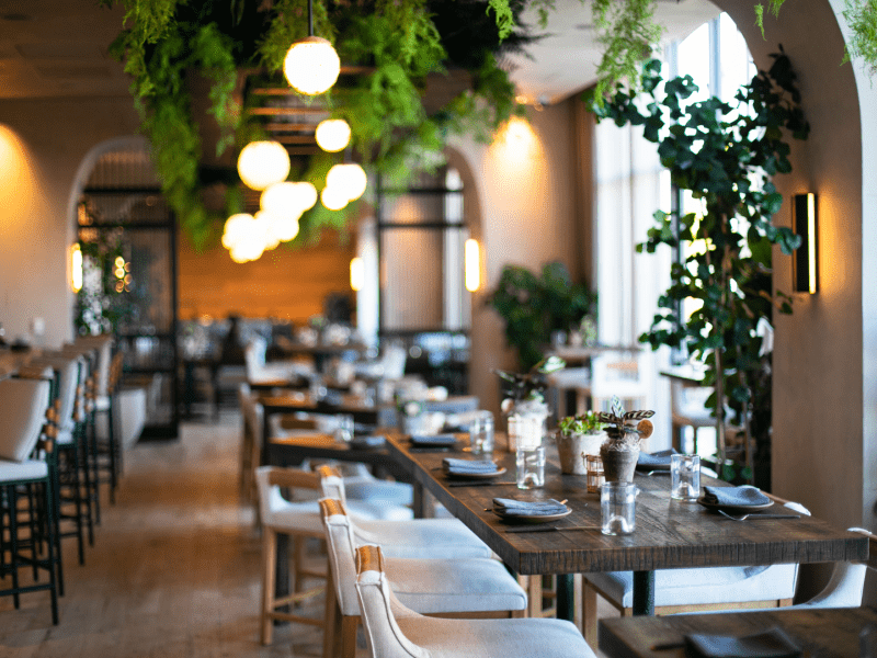 Dining area depicting several tables with elegantly set seating placements.  Verdant green plants hang from the ceiling.