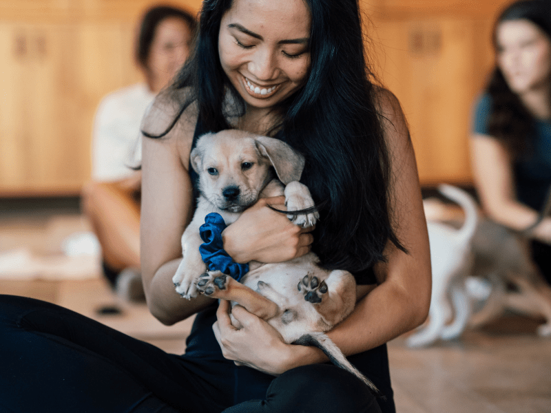 Girl holding a puppy