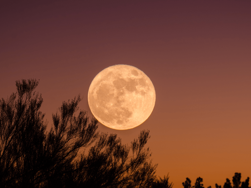 full moon