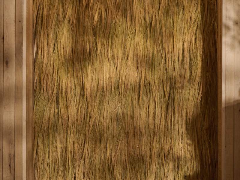 Sara Martinsen kunst