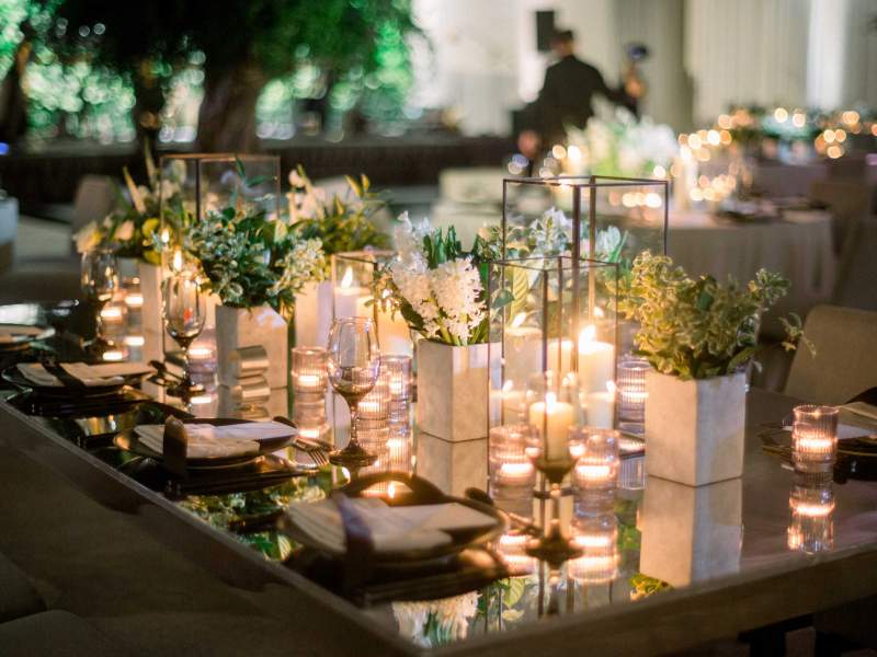 table with lights and plants