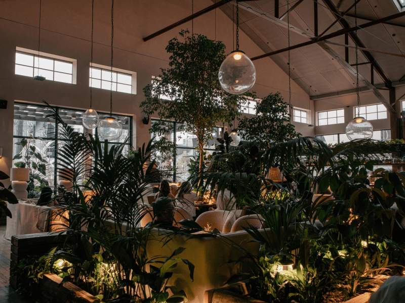 The Midnight Garden