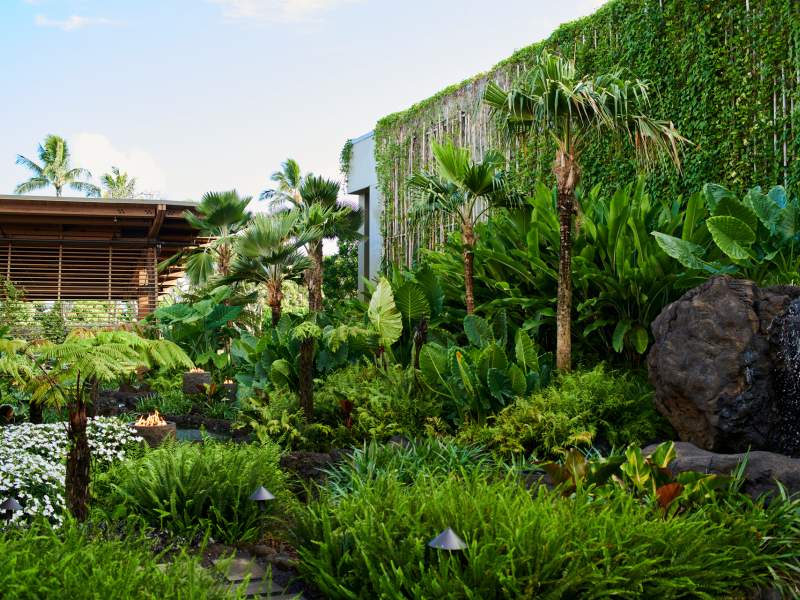 Lush lobby garden at 1 Hotel