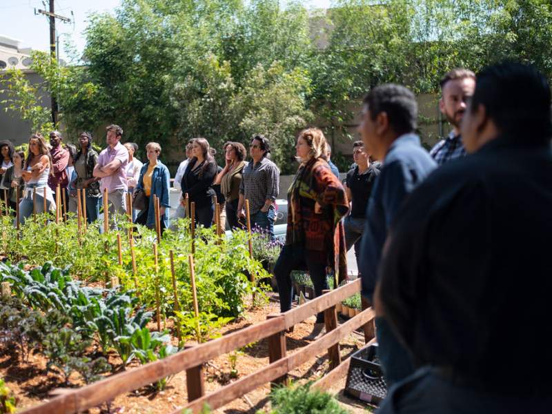 Groupe de personnes réunies autour d'un jardin