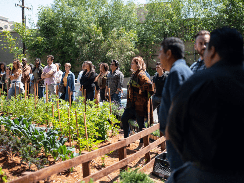 Group of people gathered around a garden