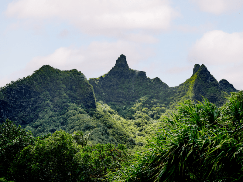 mountains