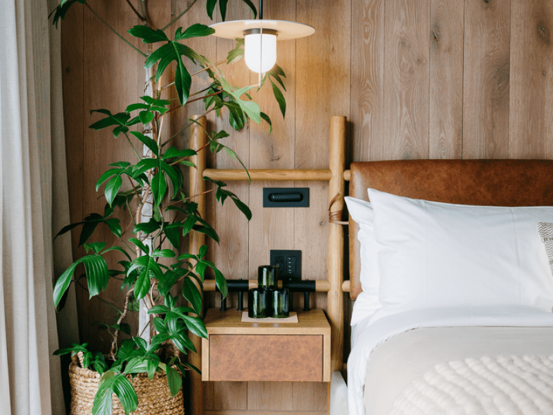 Bedside table and a potted plant