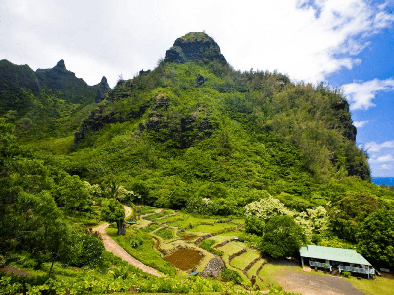 A grassy mountain