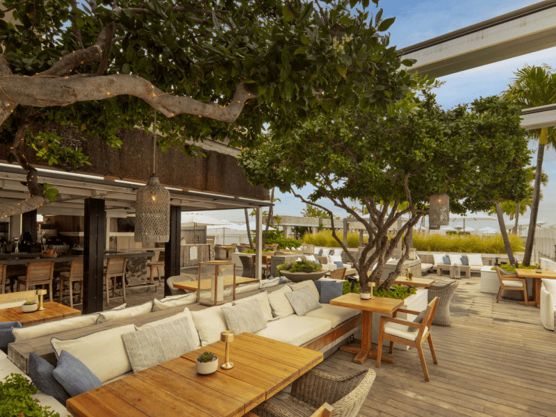 Outdoor dining area covered with trees