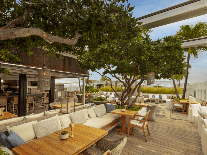 Outdoor dining area covered with trees