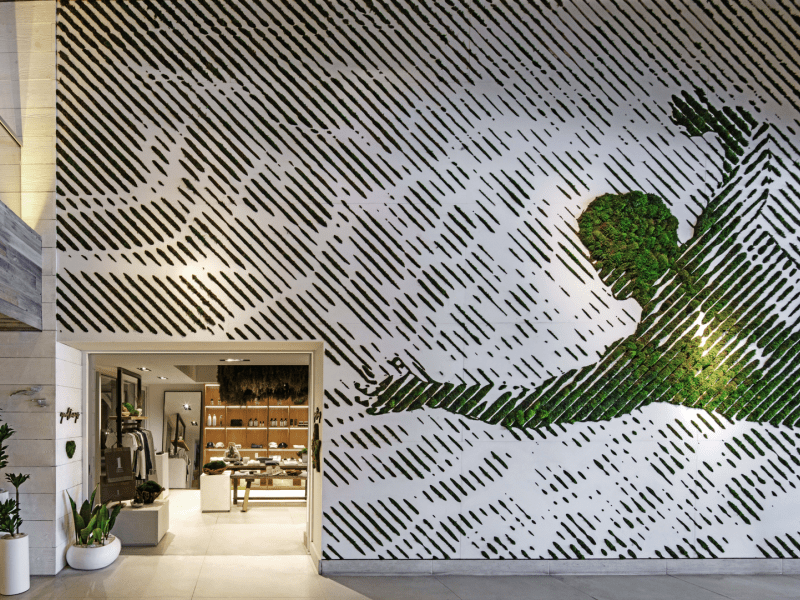 Moss mural in the wall