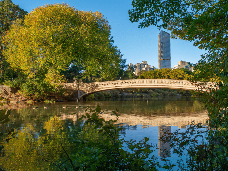Central Park