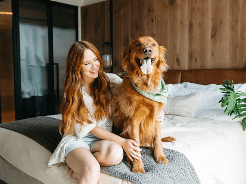 Person sitting on a bed with a dog